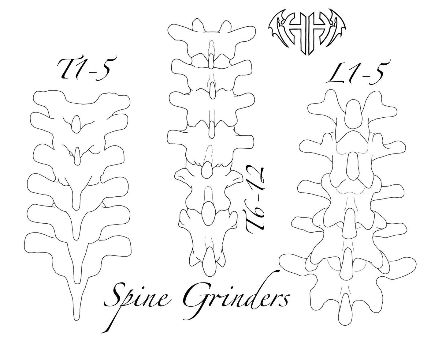 Spine L1-5 Custom