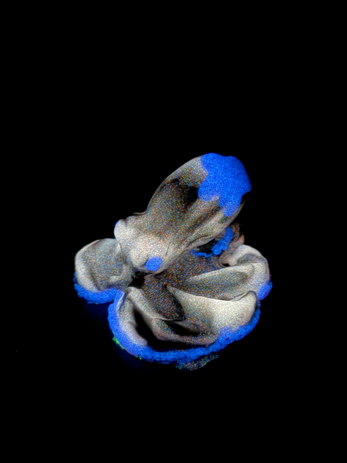Coral Halloween Squishie