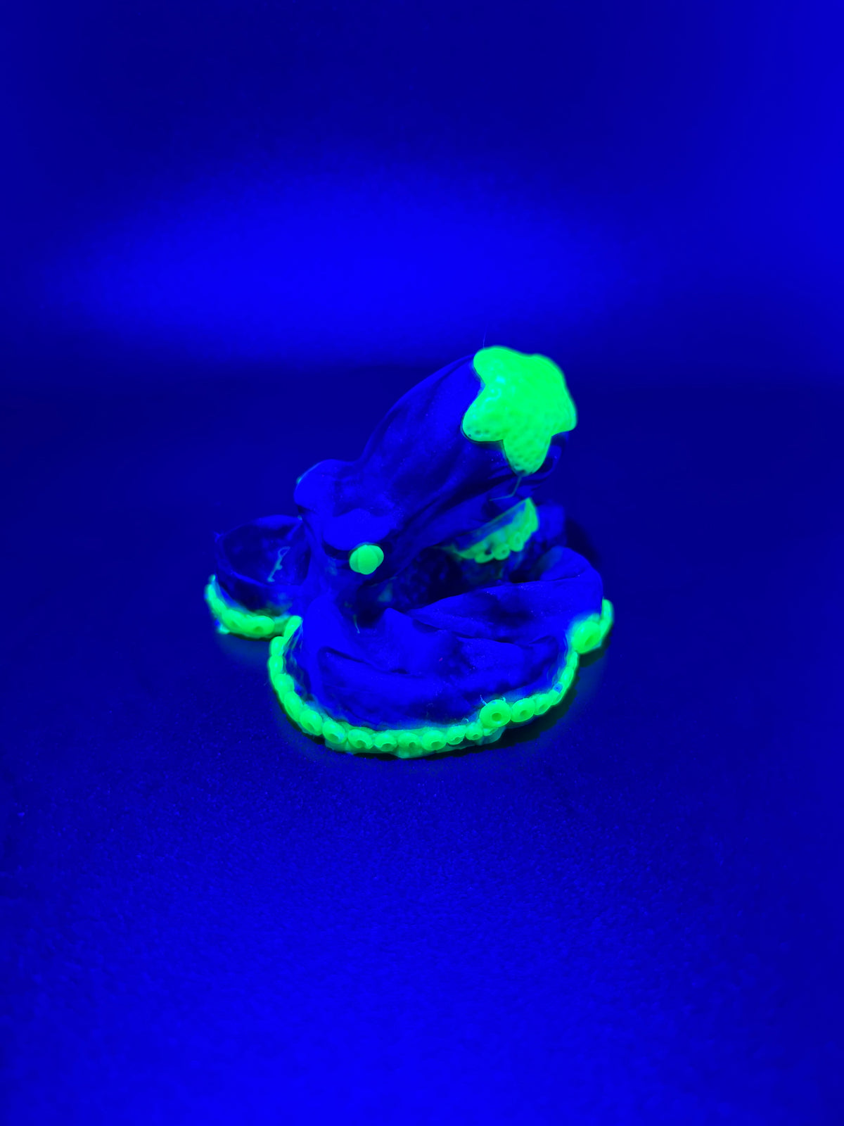 Coral Halloween Squishie